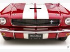 Thumbnail Photo 20 for 1966 Shelby GT350